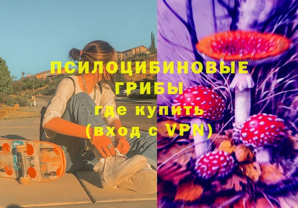 таблы Осинники