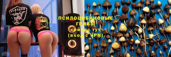 таблы Осинники