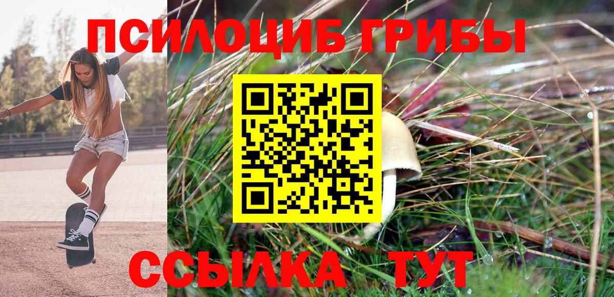 Псилоцибиновые грибы мухоморы  Вход с VPN  Серов  Псилоцибиновые грибы Cubensis 