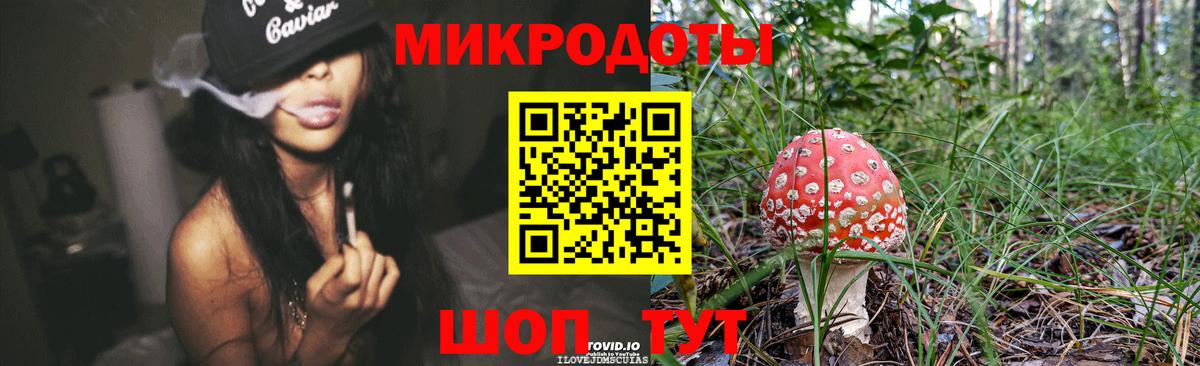 Псилоцибиновые грибы Cubensis Серов